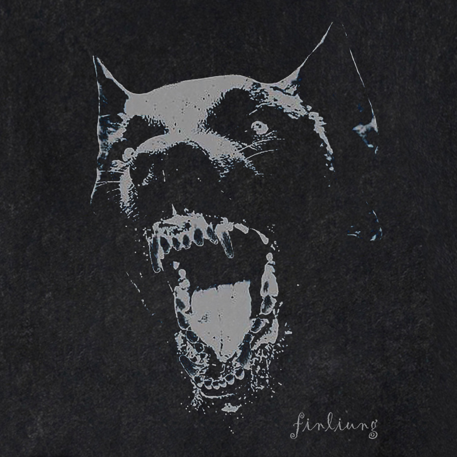 Doberman Pinscher Vintage Wash Graphic T-Shirt – Classic Round Neck & Short Sleeves